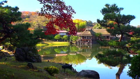 The Garden of the Underworld Stock Footage 332412632