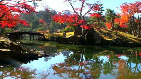 The Garden of the Underworld Stock Footage 332412675