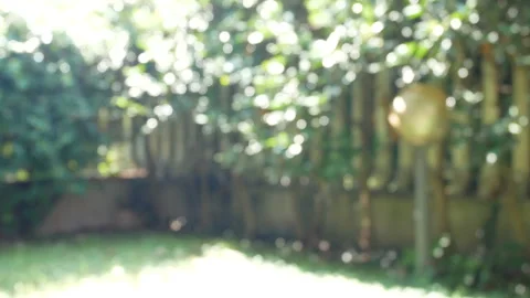 Garden for use as green screen background plate for interviews. Stock Footage 208817502