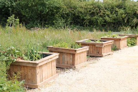 Garden Vegetable Beds. Stock Photos