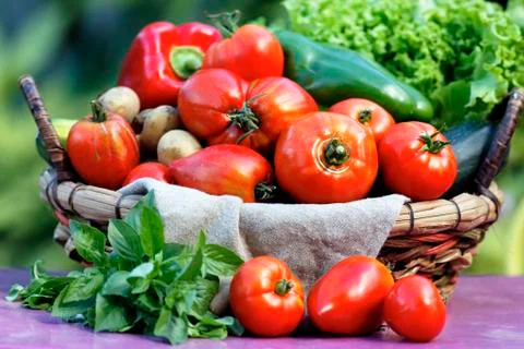 Garden vegetables Stock Photos