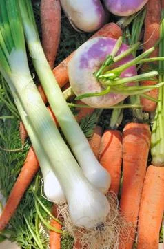 Garden vegetables Stock Photos