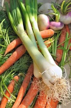 Garden vegetables Stock Photos
