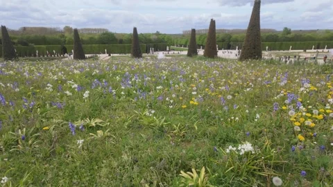 The Garden of Versailles Video stock 336726855