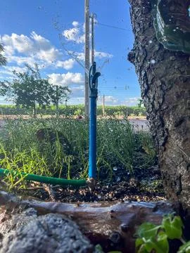 Garden view with blue water spout Stock Photos