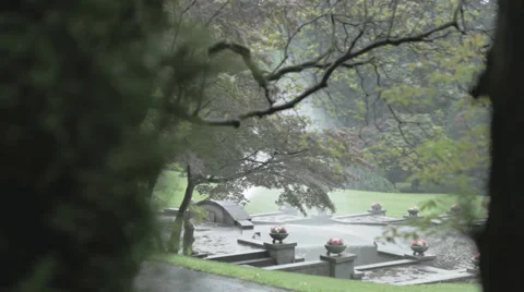 Garden view dolly Stock Footage 35899197