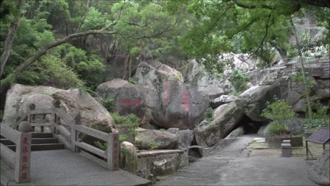 Garden view Stock Footage 235135441