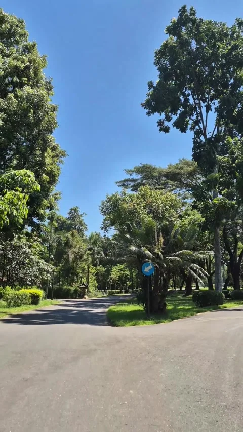 Garden view Stock Footage 292974190