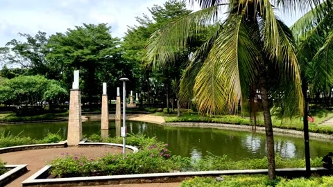 Garden view in the middle of the crowd Stock Footage 229824958