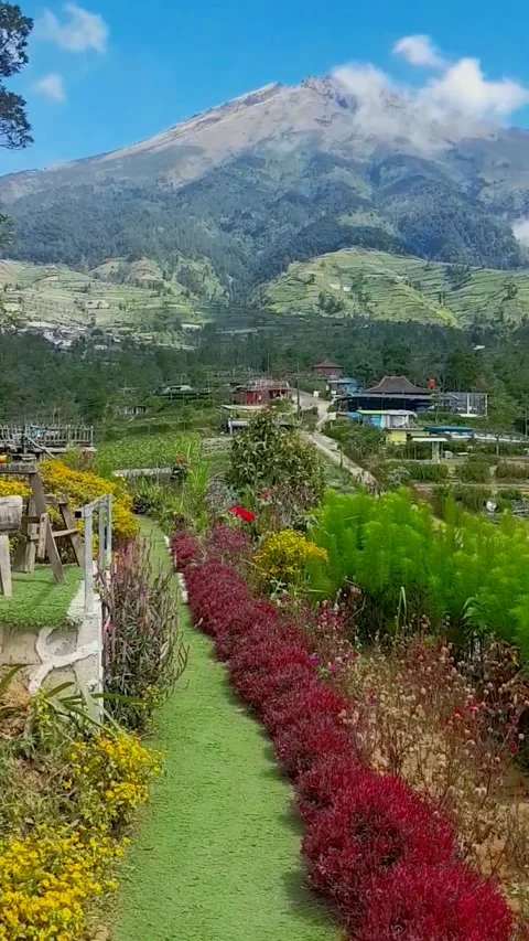 Garden View Mountain Stock Footage 169497145