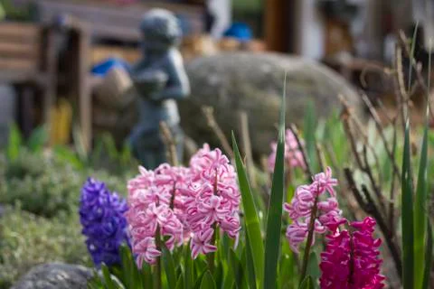 Garden view Stock Photos