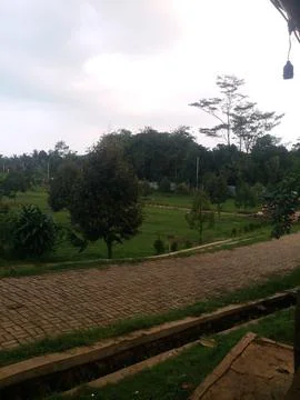 Garden view Stockfoto's