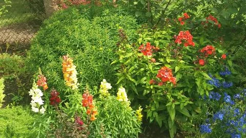 Garden view Foto stock