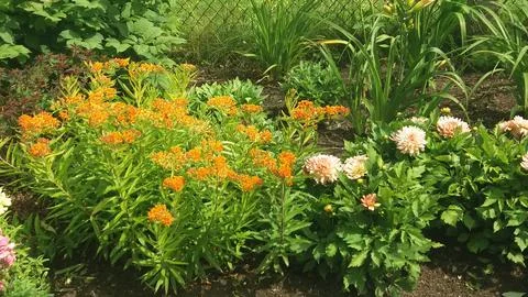 Garden view Foto stock