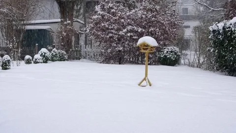 Garden View with snow falling Vídeo Stock 71471679