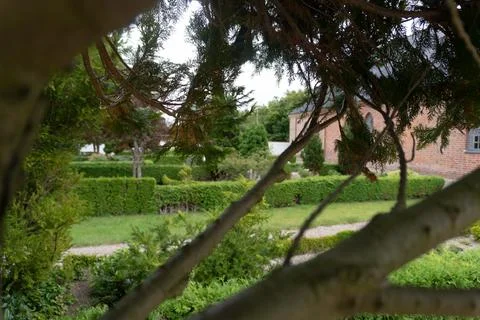 Garden View Through Tree Branches Stock Photos