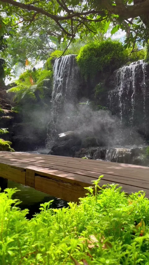 The garden view of the waterfall Vídeos de archivo 211253643