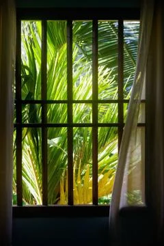 Garden view from window Stock Photos