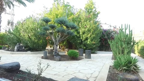 Garden Walk Stock Footage 78691990