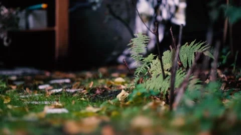 Garden walk 库存影片 139312937