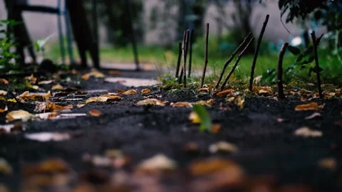 Garden walk 库存影片 139313090