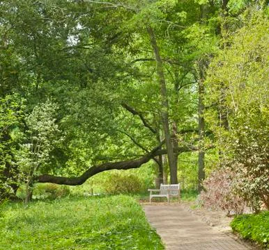 Garden walk Foto stock