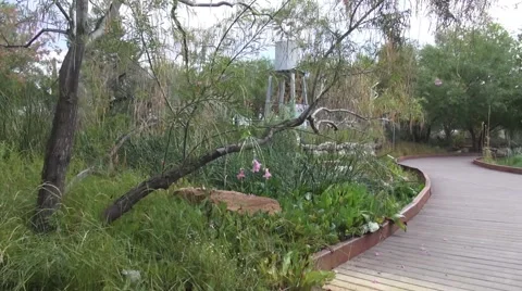 Garden Walk Through Natural Path, Windmill, Water Tower Springs Preserve Stock Footage 40006800