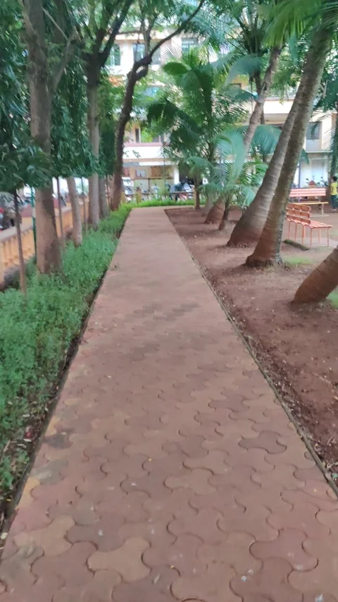 Garden Walking Track Stock Footage 160668129