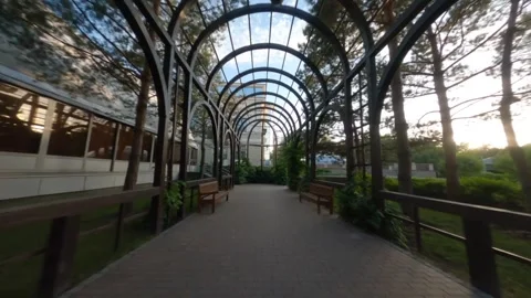 Garden, Walking in vegetable tunnel, Tracking shot along path beneath Stock Footage 275681424