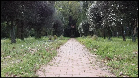 Garden Walkway slow push Stock Footage 128853950