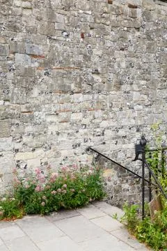 Garden wall copyspace Stock Photos