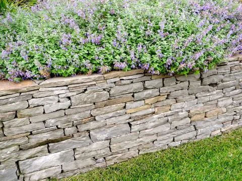 A Garden Wall With Flowers Stock Photos