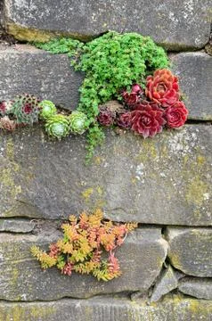 Garden wall Stock Photos