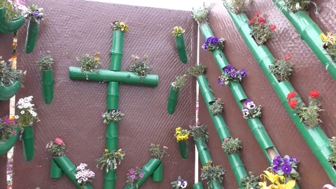 Garden from waste plastic bottles on the wall Video stock 126766254