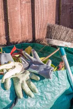 Garden waste in a refuse bag. Stock Photos