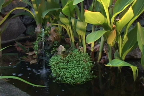 Garden-Water-Fall 스톡 동영상 634114