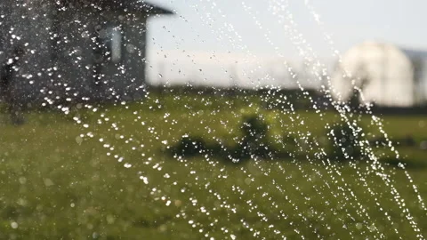 The garden is watered. Slow motion. Stock Footage 154331833