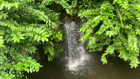 Garden waterfall Stock Footage