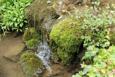Garden Waterfall. Stock Photos