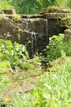 Garden Waterfall. Stock Photos