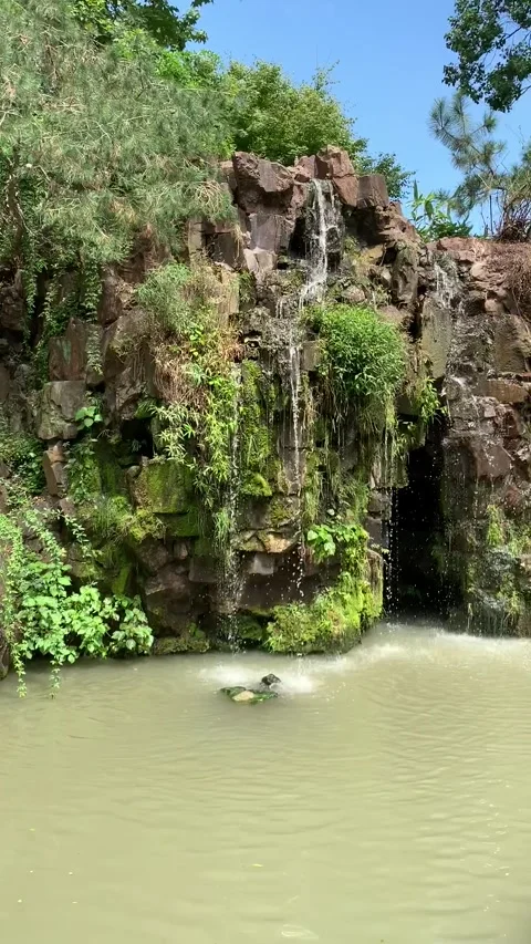 Garden waterfall in Suzhou Video stock 342629067