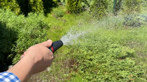Garden Watering Bliss 스톡 동영상 310434023