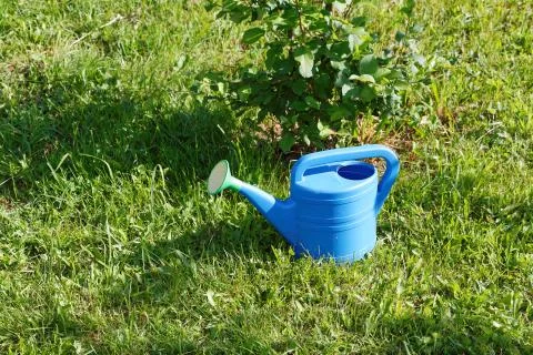 Garden watering can on grass summer day Stock Photos