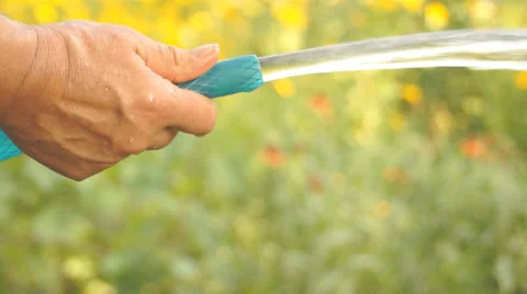 Garden watering 스톡 동영상 25857374