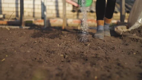 Garden watering 스톡 동영상 141767440