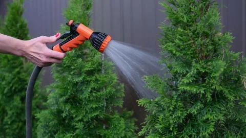 Garden watering Video stock 241914642