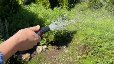 Garden Watering Scene Stock Footage 310433920
