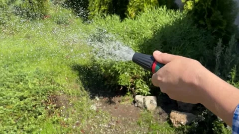 Garden Watering Scene Stock Footage 310434237