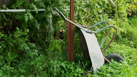 Garden wheelbarrow against the backdrop of greenery slowly swaying in the wind 스톡 동영상 283260982