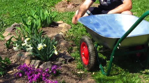 Garden wheelbarrow Vídeo Stock 23314026
